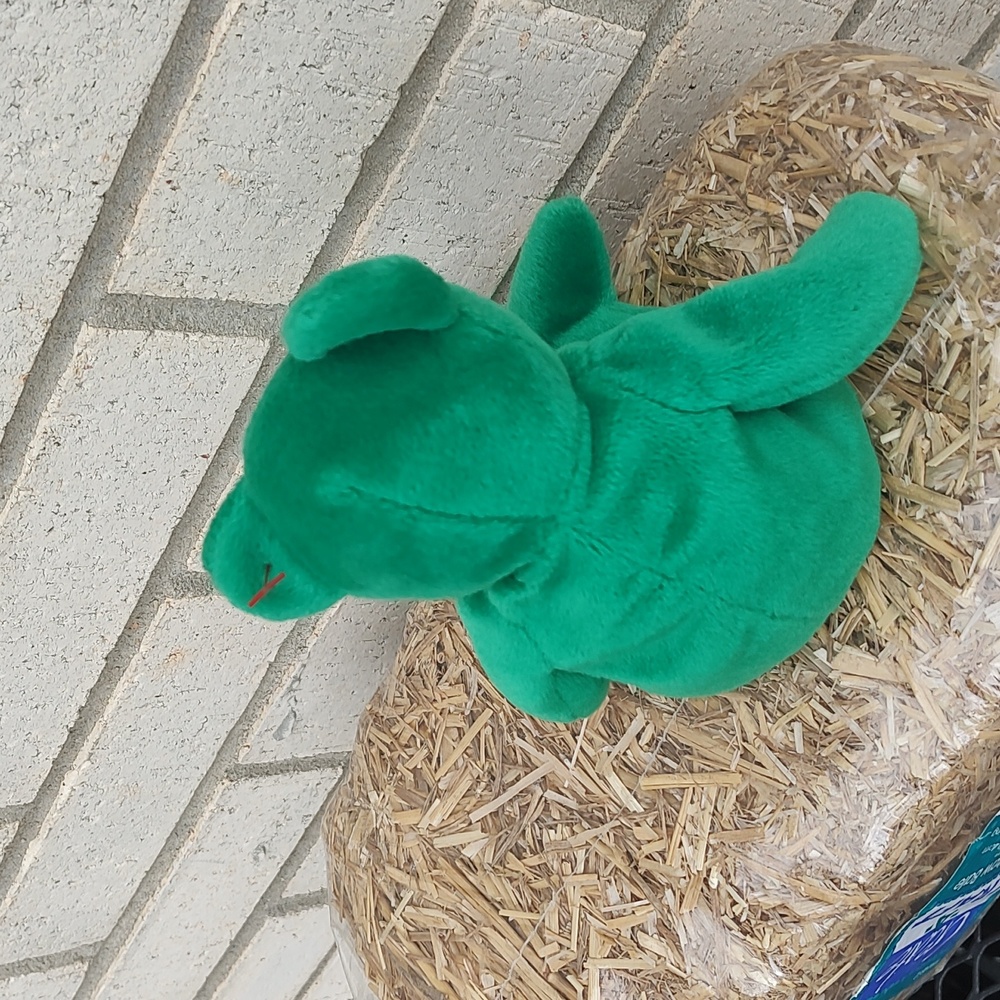 Ty green beanie baby - Picture 6 of 7